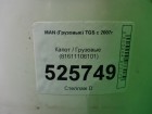 MAN TGS с 2007г Капот (81611106101)